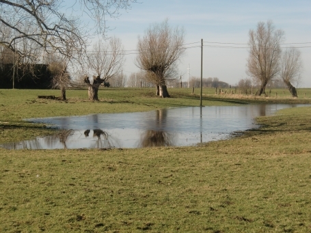 Wesel-Bislich : Marwick, Rheinvorland